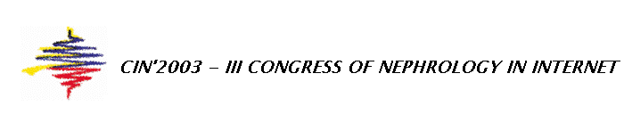Logo cin2003