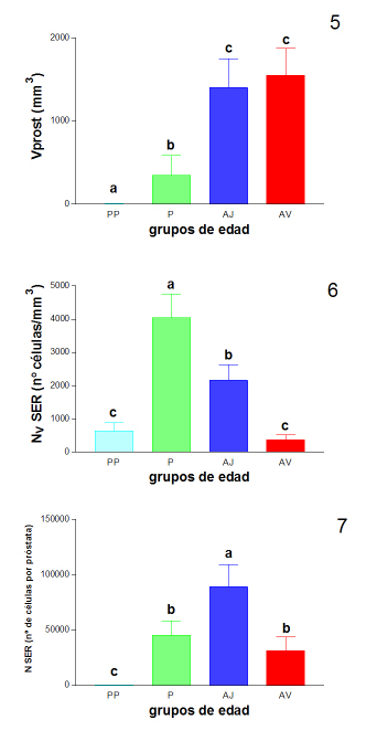 Imagen de Estudio Inmunohistoqumico y cuantitativo de las clulas neuroendocrinas de la prstata de la rata a lo largo del desarrollo postnatal