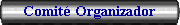 Comit Organizador